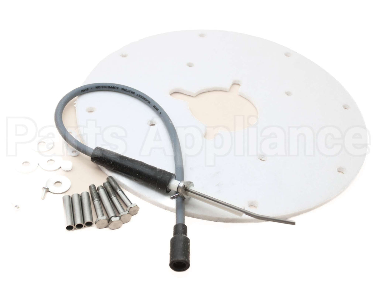 100187881 Lochinvar & A.o. Smith Spark Ignitor Assembly