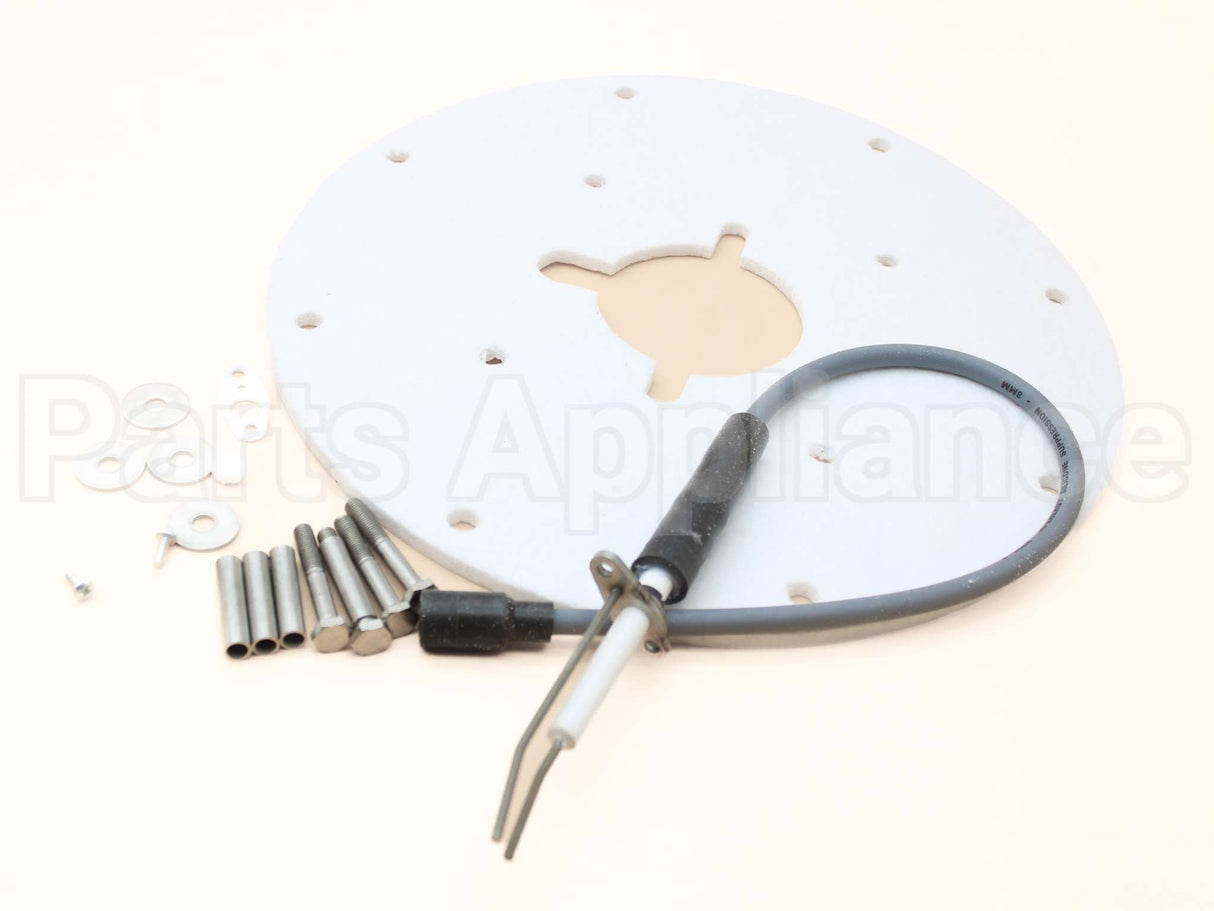 100187881 Lochinvar & A.o. Smith Spark Ignitor Assembly