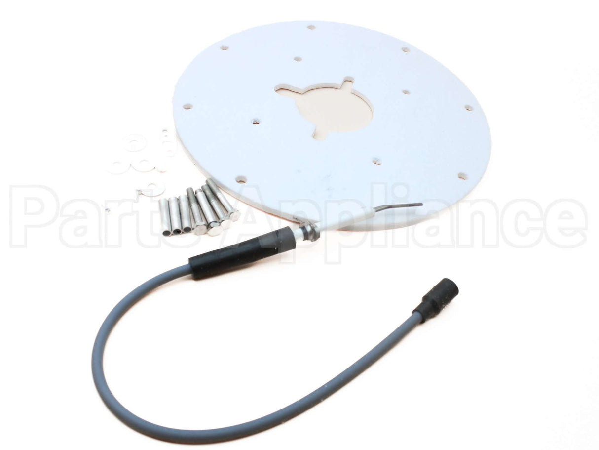 100187881 Lochinvar & A.o. Smith Spark Ignitor Assembly