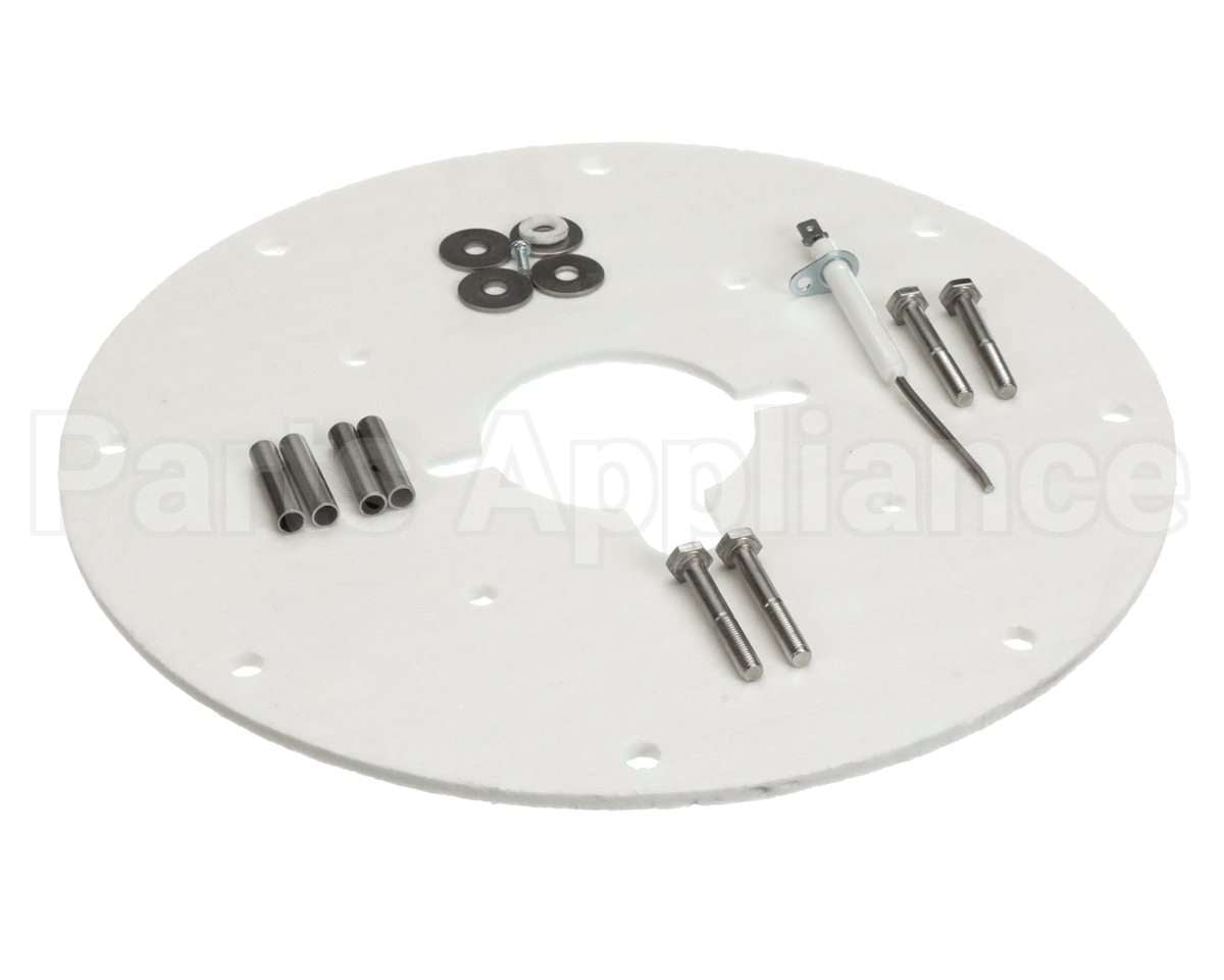 100187882 Lochinvar & A.o. Smith Flame Sensor