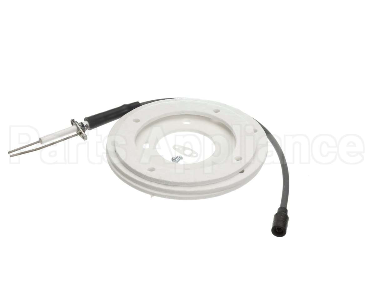 100191120 Ao Smith Water Heater Ignitor