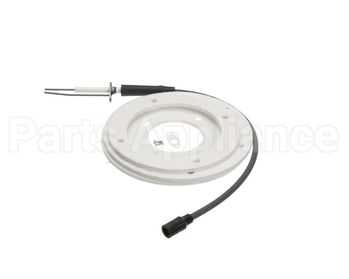 100191120 Ao Smith Water Heater Ignitor