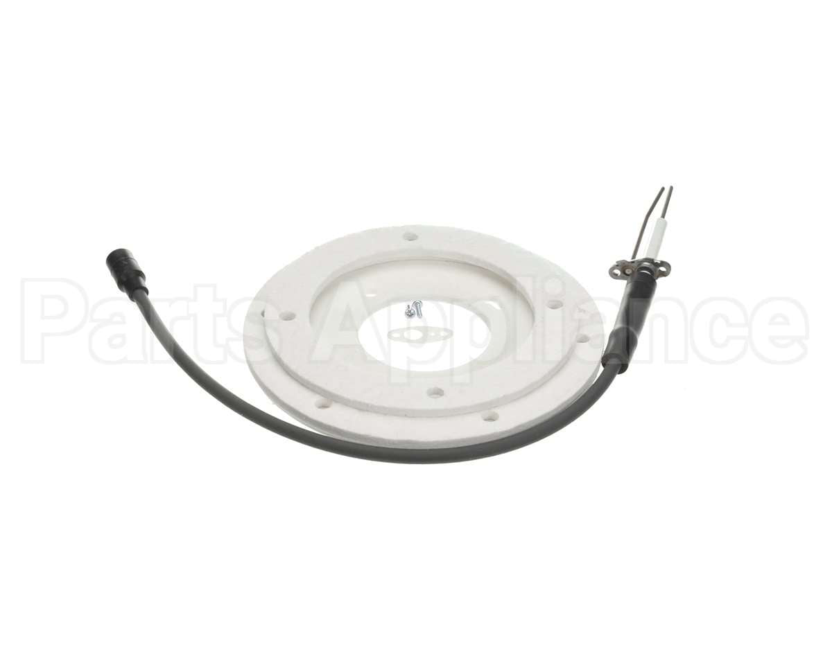 100191120 Ao Smith Water Heater Ignitor
