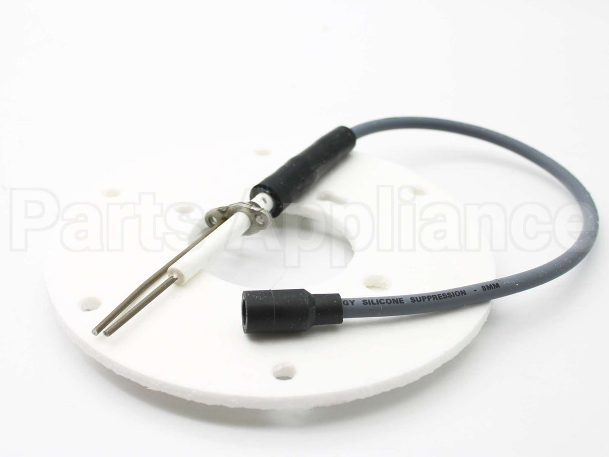 100191120 Lochinvar & A.o. Smith Spark Ignitor Assembly