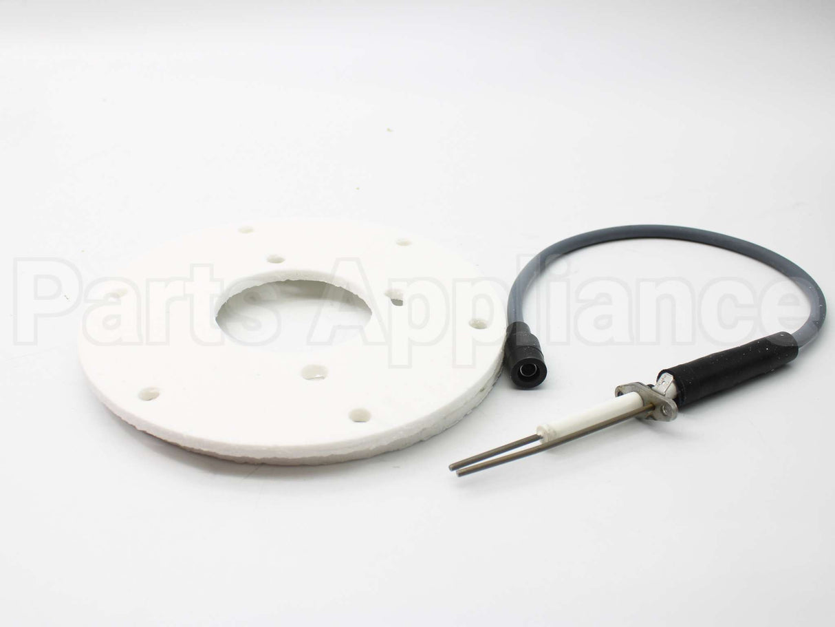 100191120 Lochinvar & A.o. Smith Spark Ignitor Assembly