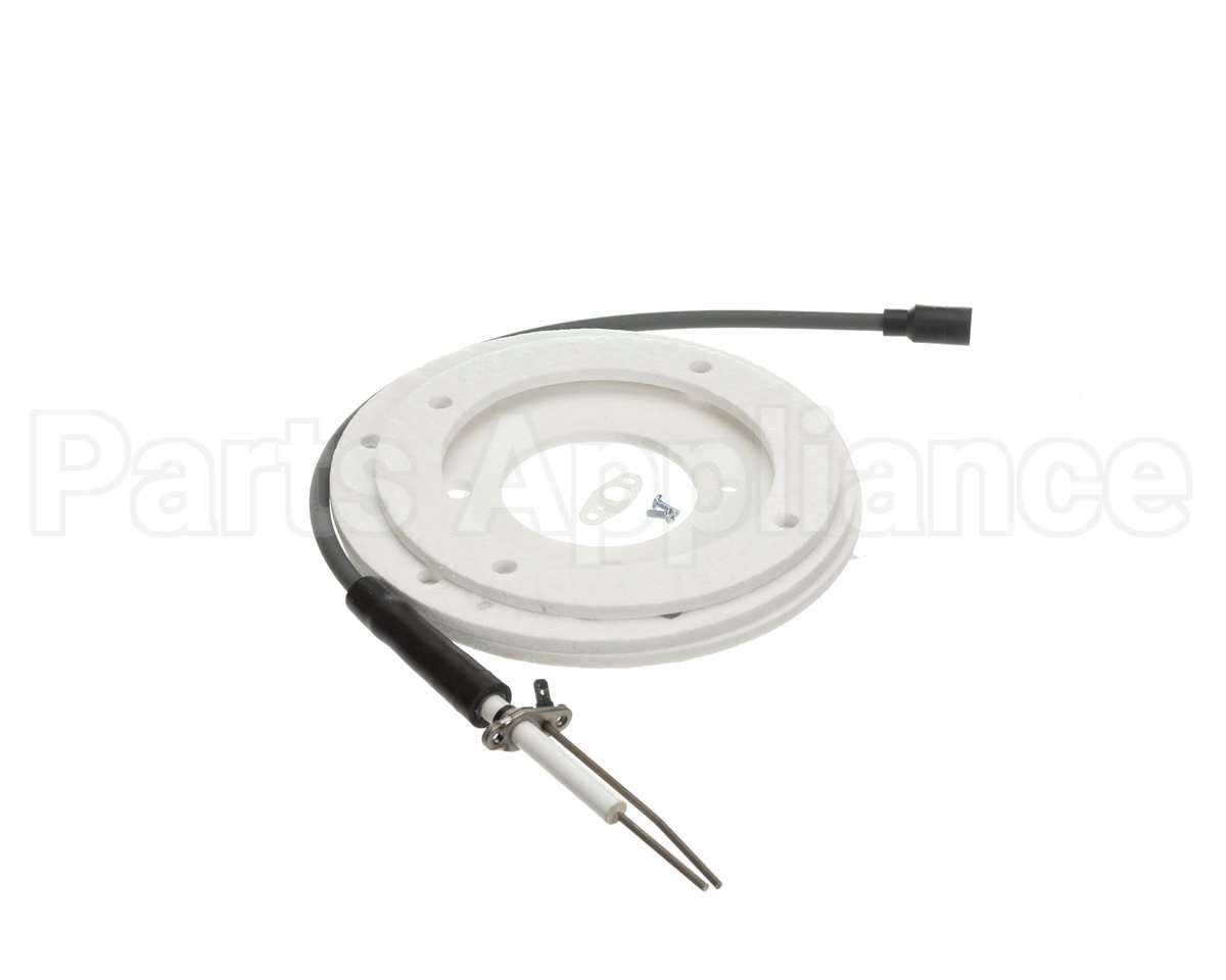 100191120 Lochinvar & A.o. Smith Spark Ignitor Assembly