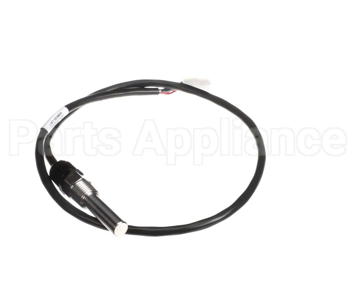 100208559 Lochinvar & A.o. Smith Dual Immersion Sensor, Outlet