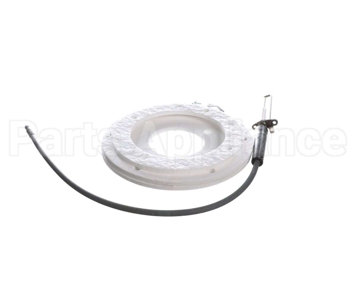 100271888 Ao Smith Water Heater K,Spark Igniter Assy,(Straig