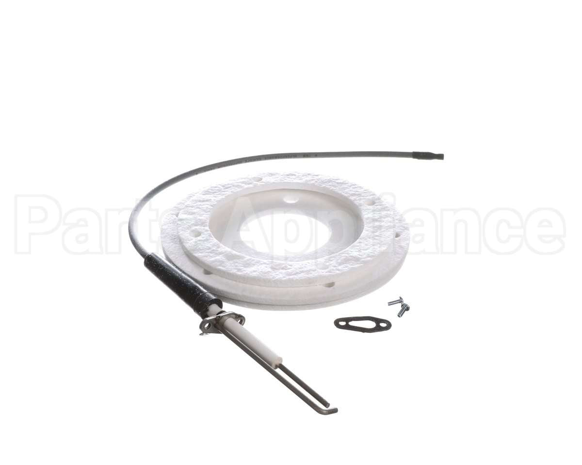 100271888 Ao Smith Water Heater K,Spark Igniter Assy,(Straig