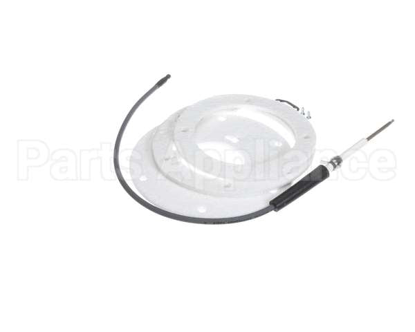 100271888 State Water Heater Spark Igniter Assembly