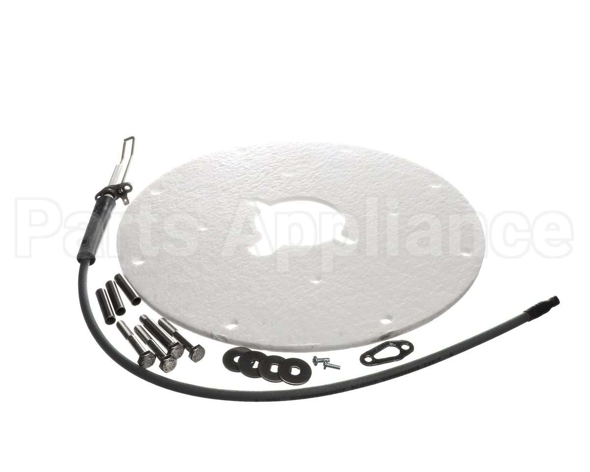 100271889 Ao Smith Water Heater K,Spark Igniter Assy(Angled)