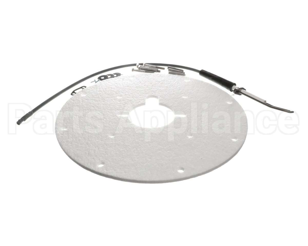 100271889 Ao Smith Water Heater K,Spark Igniter Assy(Angled)
