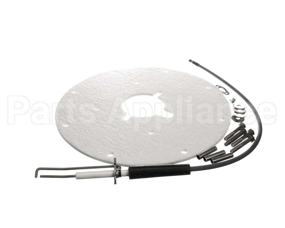 100271889 Ao Smith Water Heater K,Spark Igniter Assy(Angled)