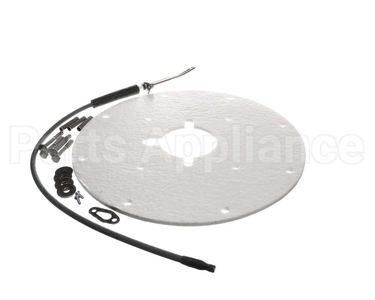 100271889 Lochinvar & A.o. Smith Spark Rod Assembly