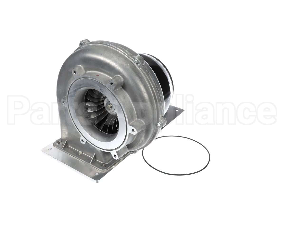 100274101 Lochinvar & A.o. Smith Fan Assembly