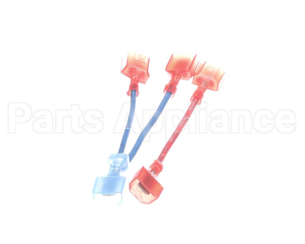 101313 Blodgett Wire Kit
