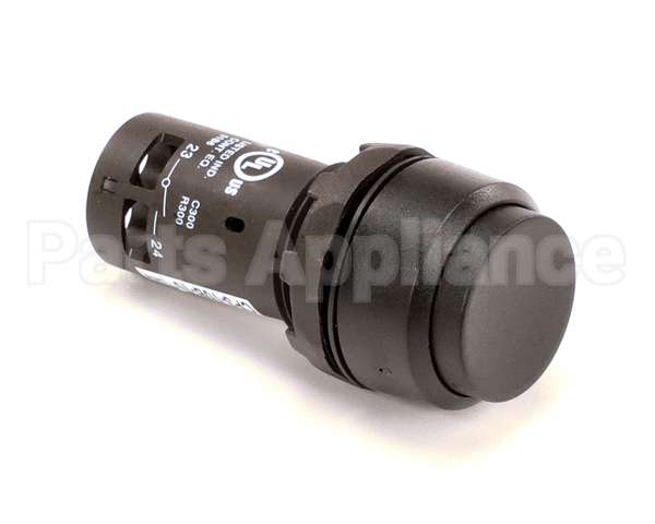 10238 Gaylord Push Button Test Switch