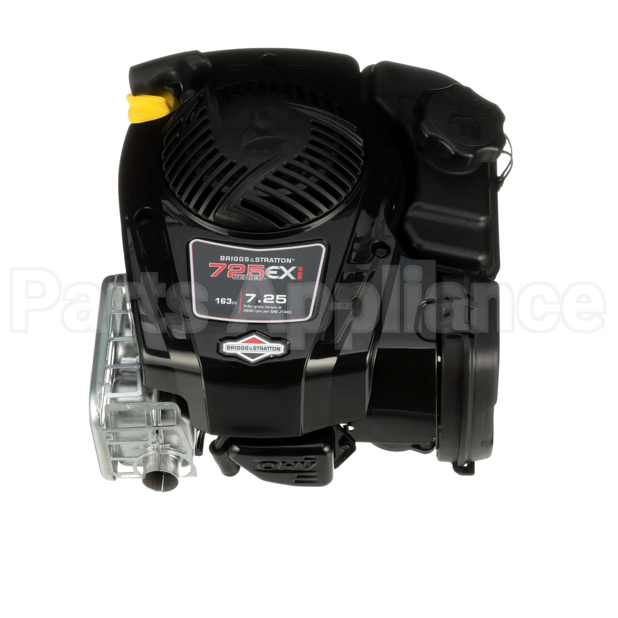 104M02-0196-F1 Briggs & Stratton Engine Packed Single Carton