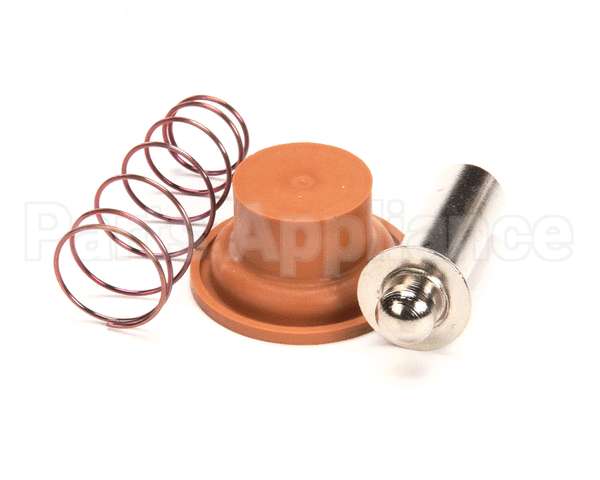 1057.00009.00 Fetco Valve Rebuild Kit, Dsv10