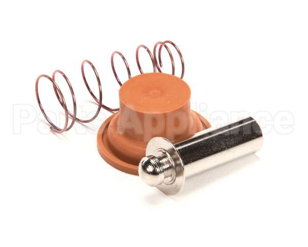 1057.00009.00 Fetco Valve Rebuild Kit, Dsv10