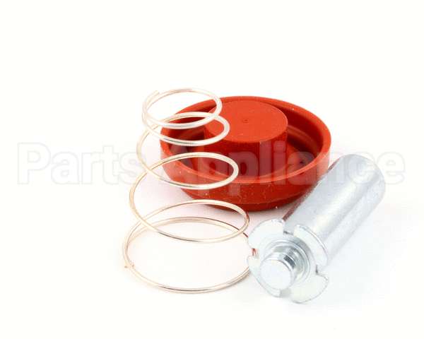 1057.00014.00 Fetco Valve Rebuild Kit, Dsv11