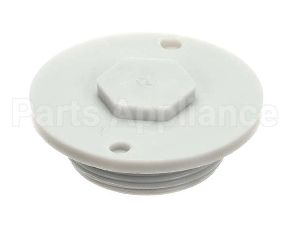 110755 Champion - Moyer Diebel Drain Plug,Ng