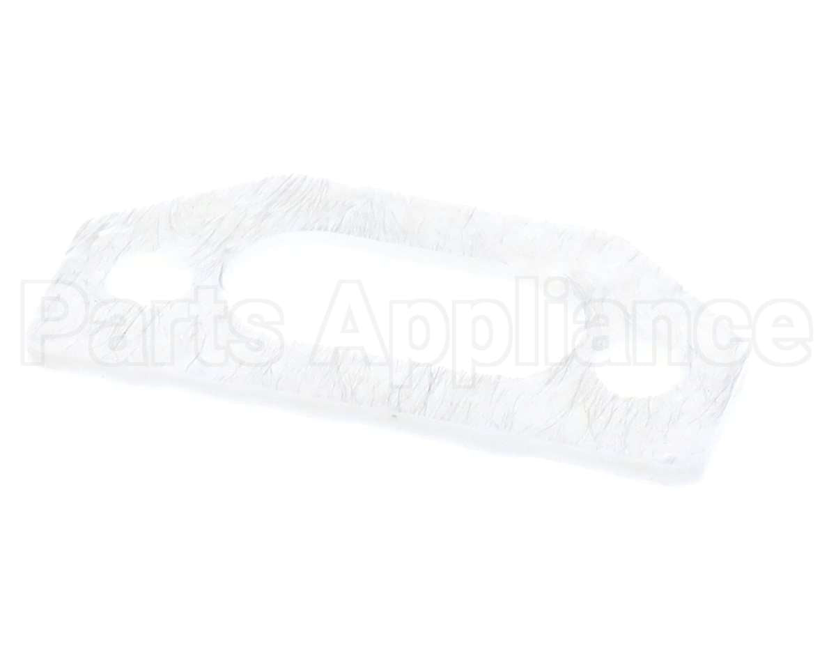 111791 Pvi Ignitor Gasket