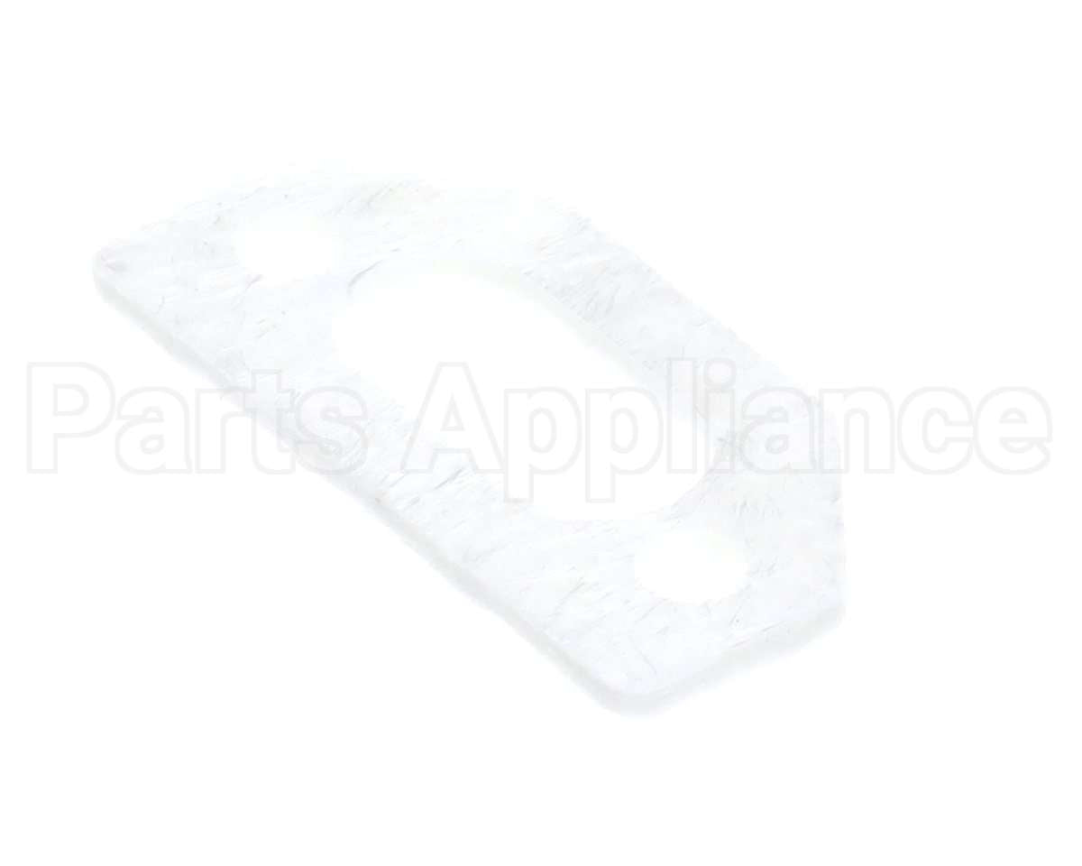 111791 Pvi Ignitor Gasket
