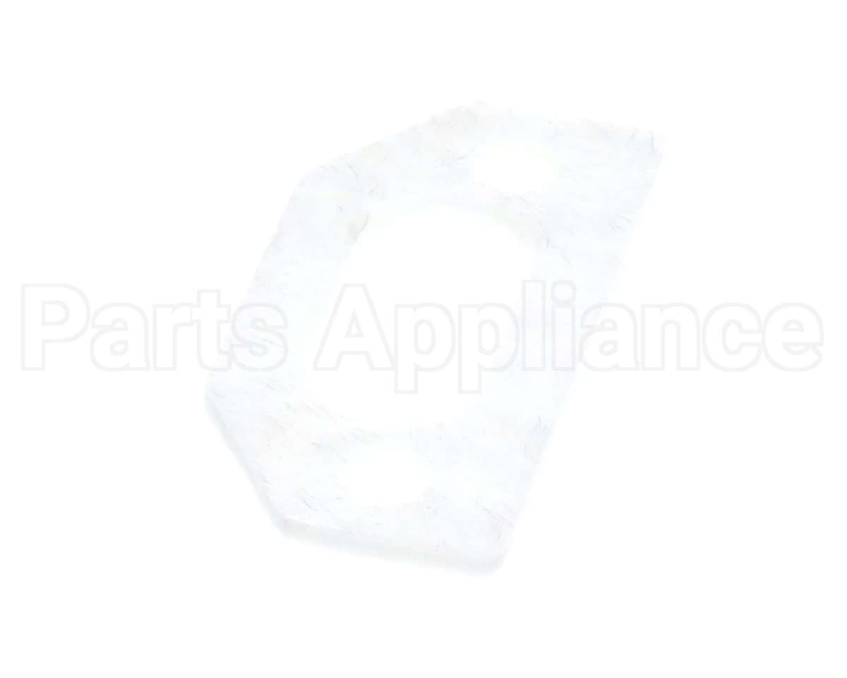 111791 Pvi Ignitor Gasket