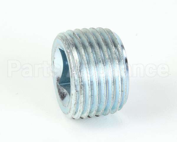 11227 Insinkerator Plug, Pipe