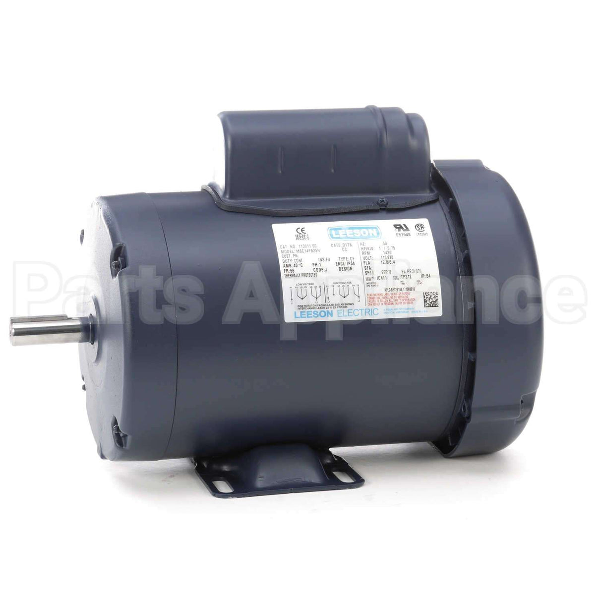 113911 Leeson Motor