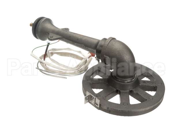 117090 Groen Asm Burner Sensor Ah/1E-40