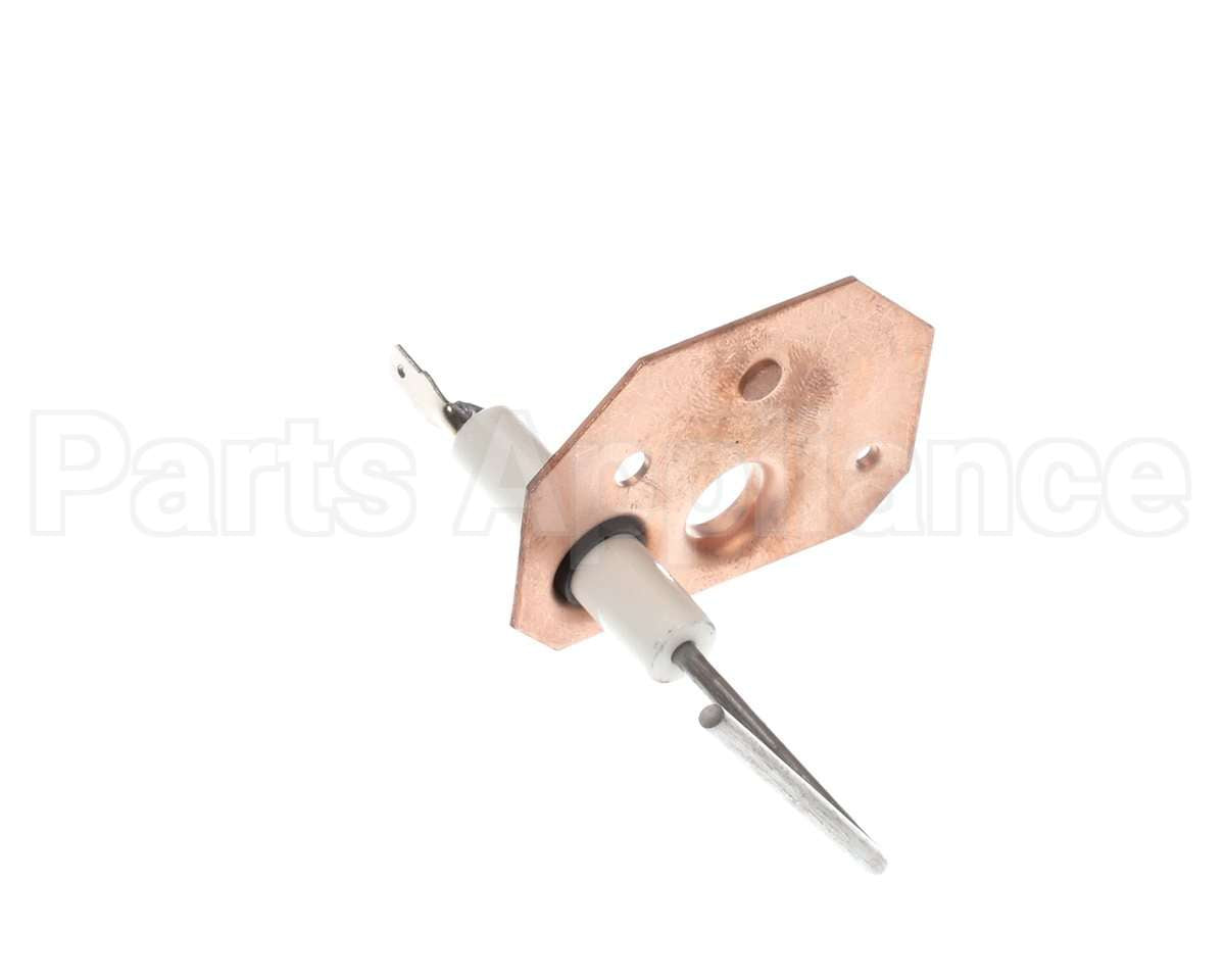 1173830 International Comfort Pro Sensor Flame