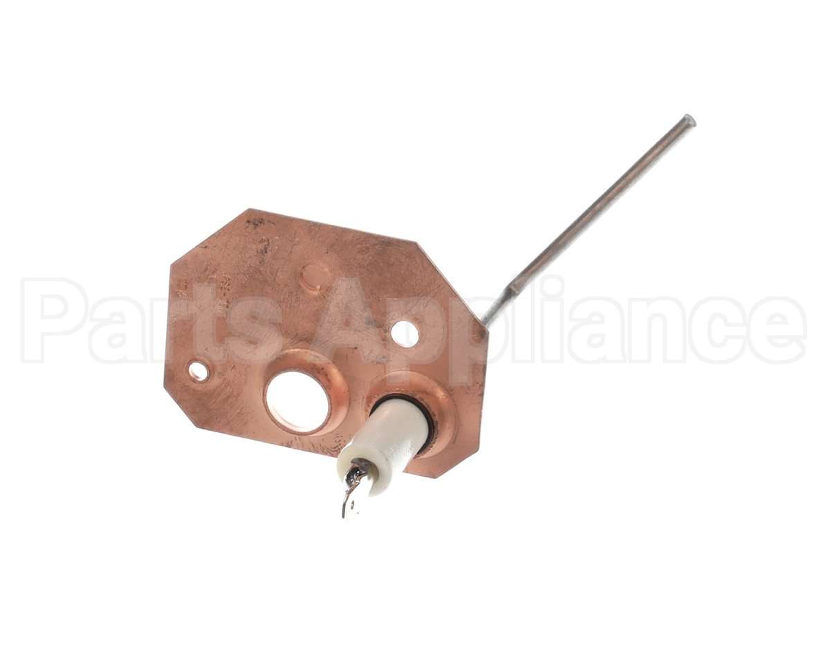 1173830 International Comfort Pro Sensor Flame