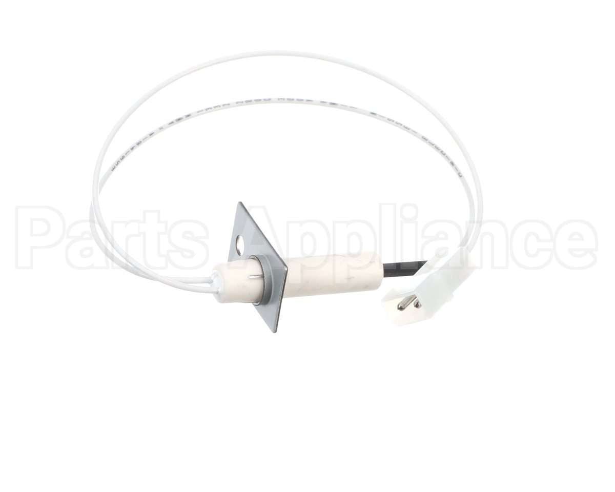 1176919 International Comfort Pro Igniter