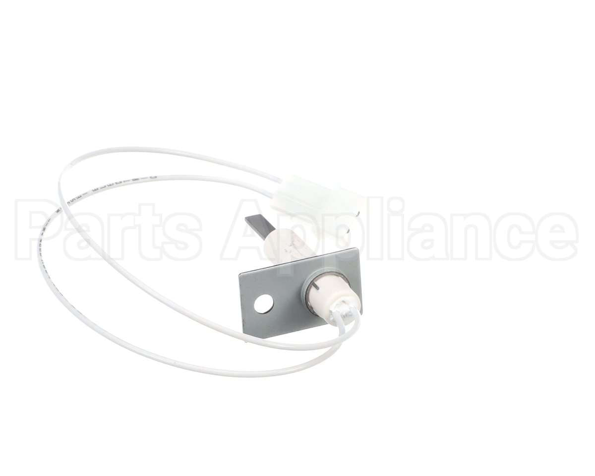 1176919 International Comfort Pro Igniter