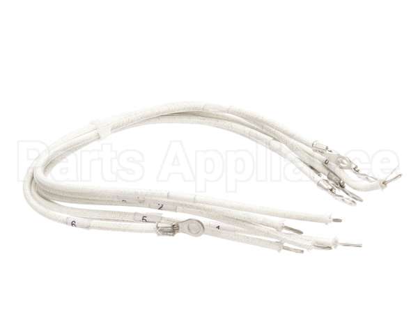 1177878 Southbend Range Element Leads, R2