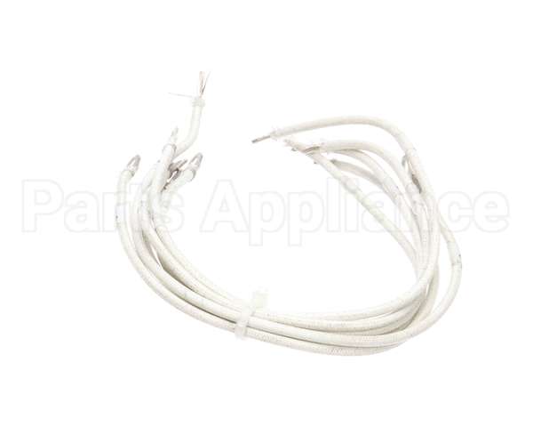 1177878 Southbend Range Element Leads, R2