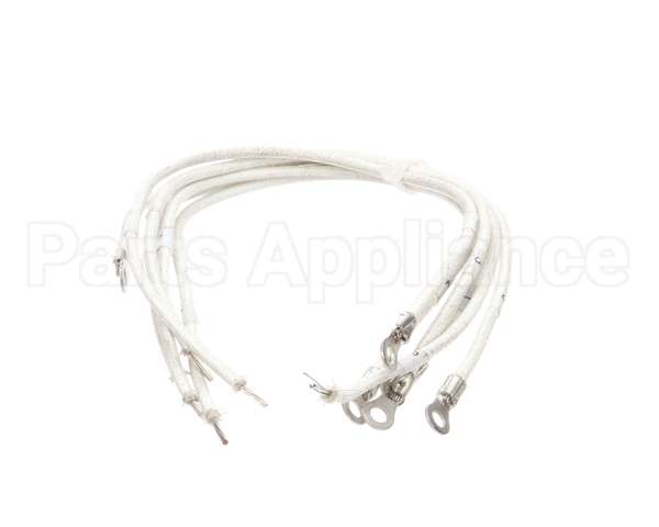 1177878 Southbend Range Element Leads, R2