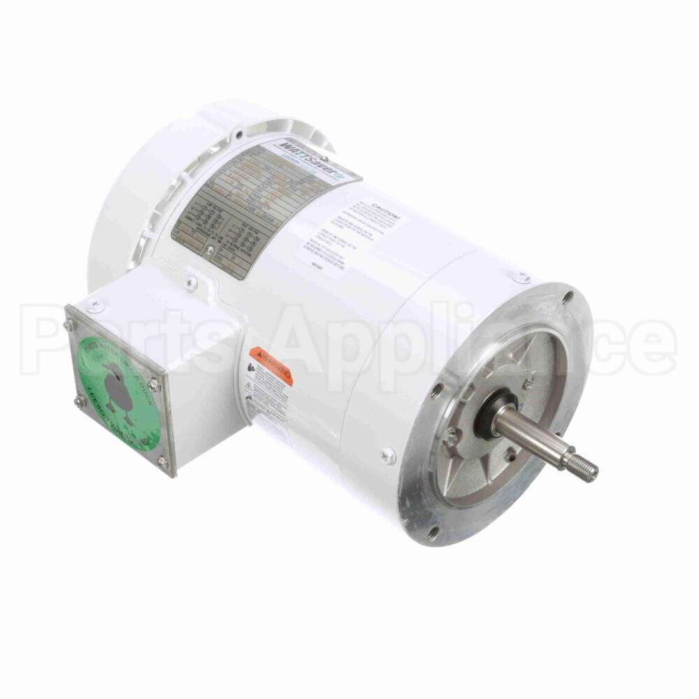 119459 Leeson Jet Pump Motor