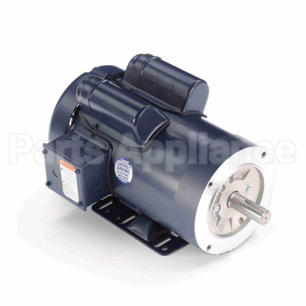 120274 Leeson Motor