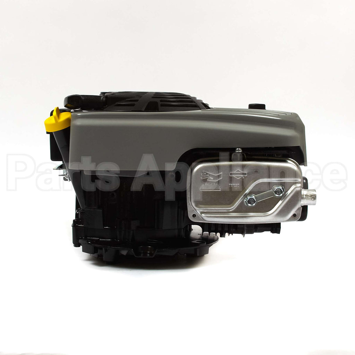 121S02-2025-F1 Briggs & Stratton Engine Packed Single Carton
