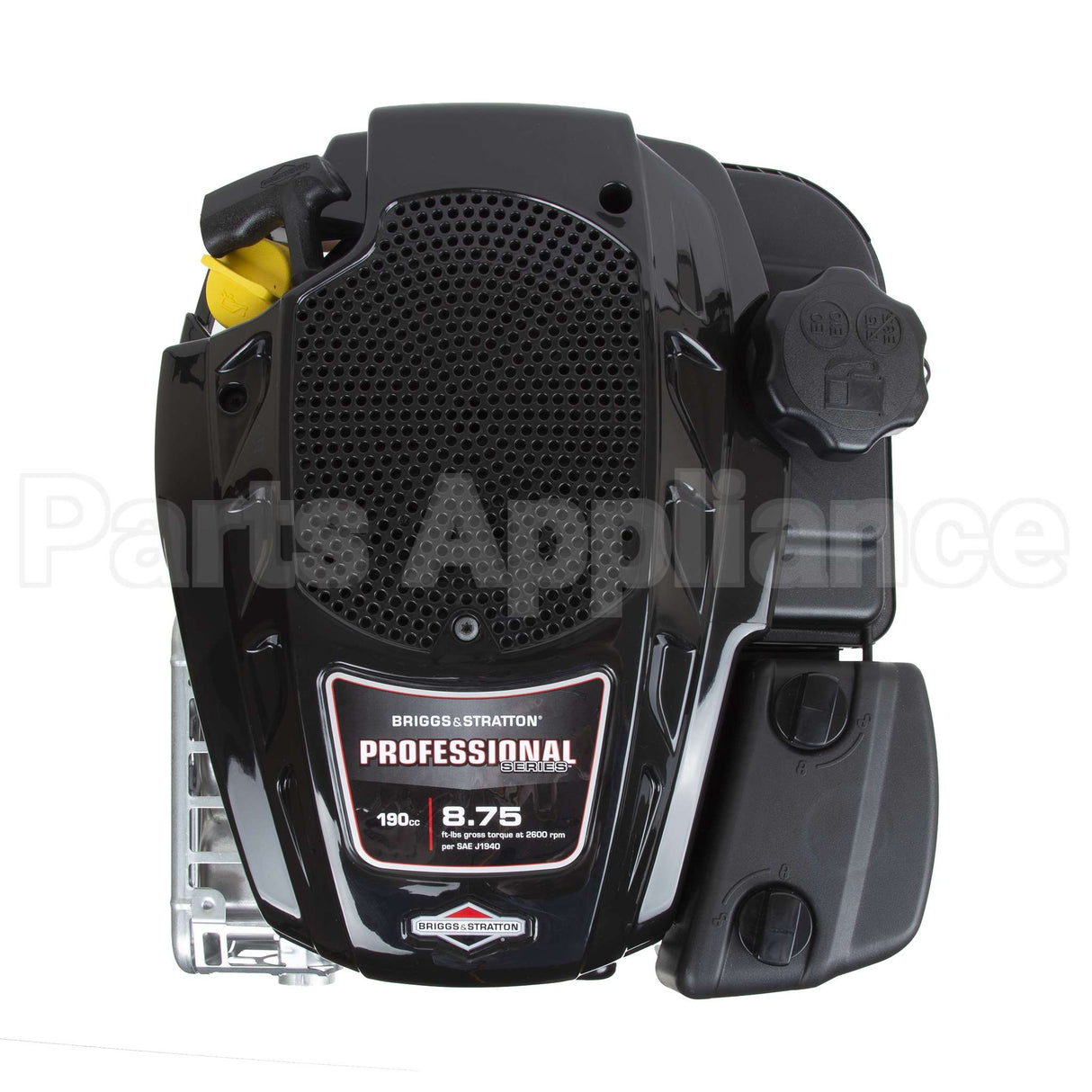 125P02-0012-F1 Briggs & Stratton Engine Packed Single Carton