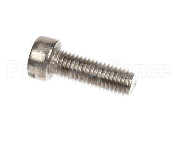 13942 Insinkerator Screw