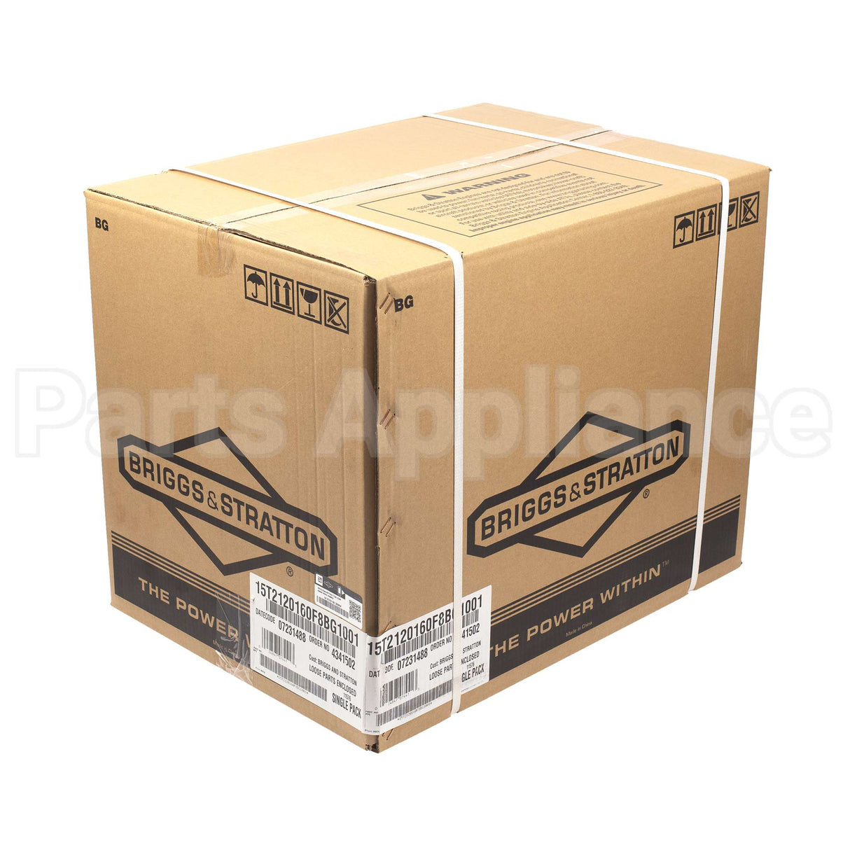 15T212-0160-F8 Briggs & Stratton Engine Packed Single Carton