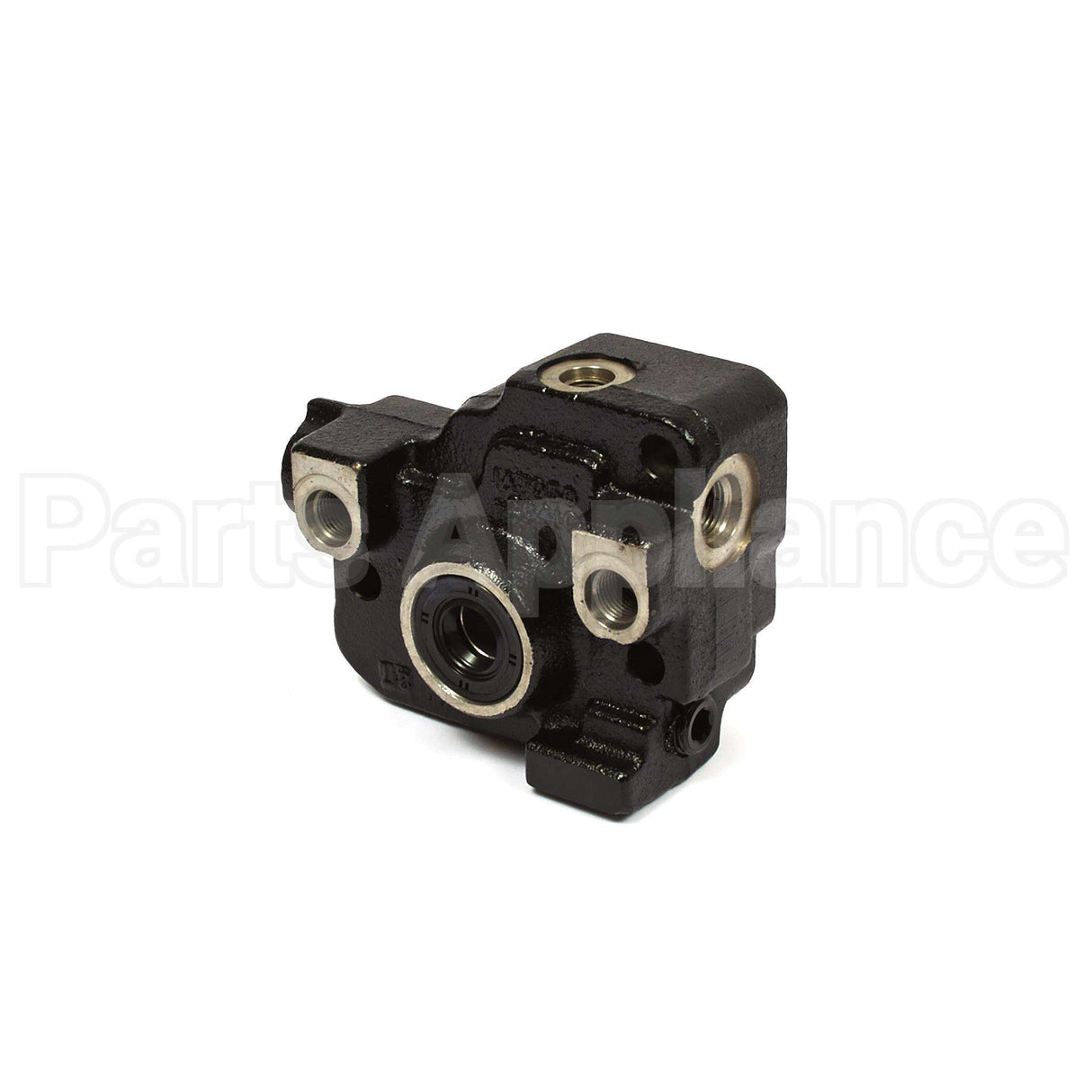 1726200SM Briggs & Stratton Body Asmy-Pump 1A