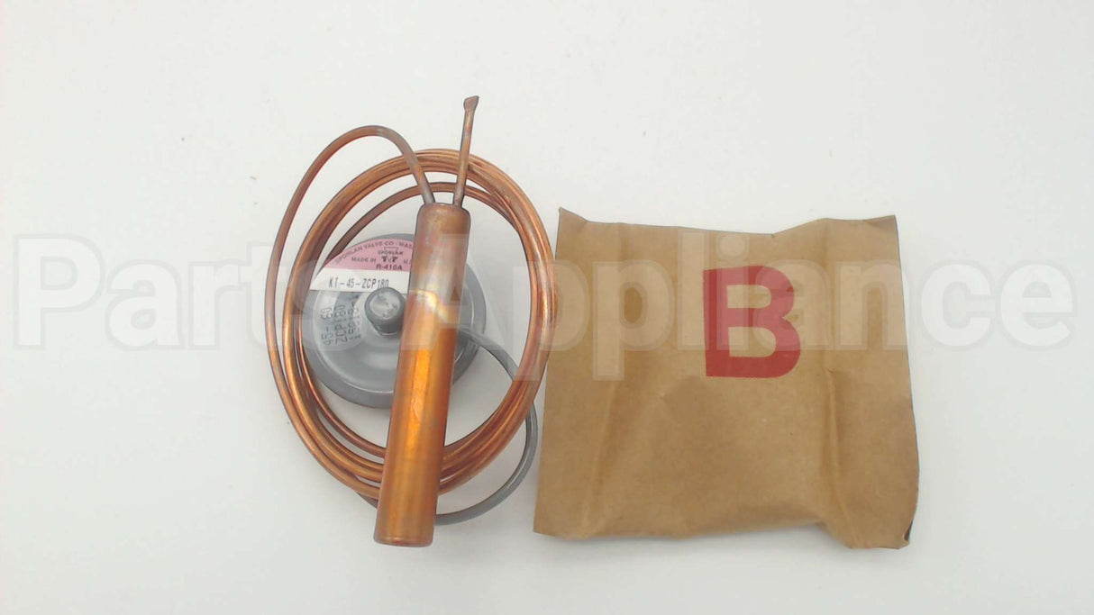 181213 Sporlan Controls 60" Cap Element Kit