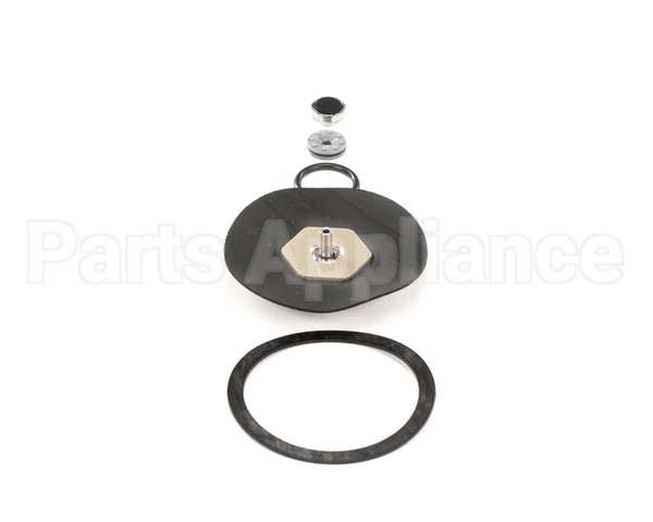 183099000 Cornelius Kit Repair Reg Secondary