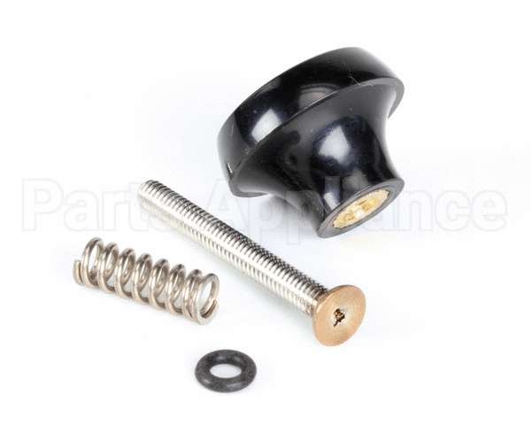 188631 Saniserv Pressure Relief Valve Kit