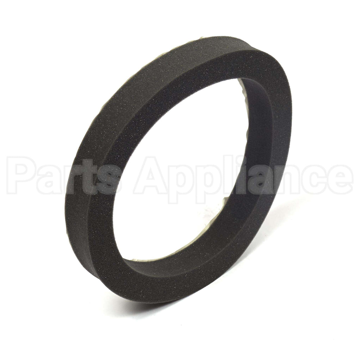 199629GS Briggs & Stratton Seal-Foam